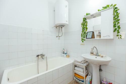Hostal Friendly House With Private Rooms