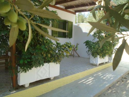 Leros Eleonas Apartments