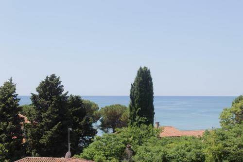 Hostal Villa Lion Zambratija