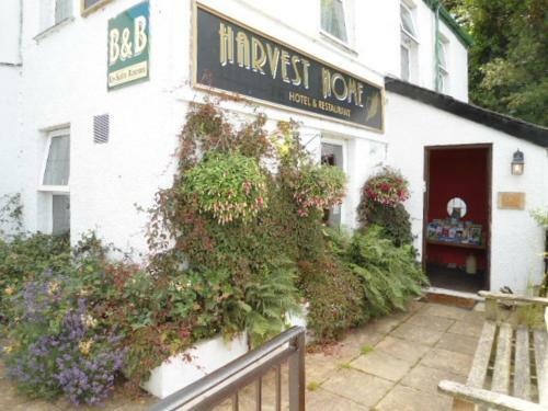 Hostal Harvest Home Guest House And Restaurant