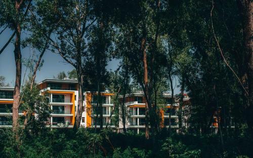 Apartamento F?zliget Ez�stny�r