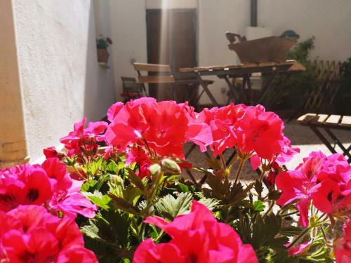 Apartamento Ilgiardinodilina