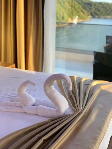 Bed & Breakfast Apart Lux Beciragic
