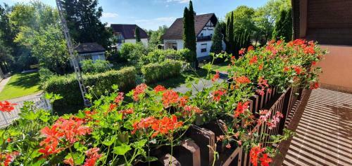 Varga Gardens Balatonm�riaf�rd?