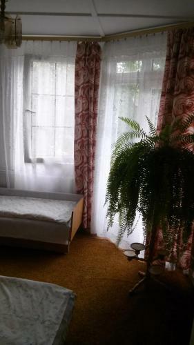 Apartamento Balaton Homestay