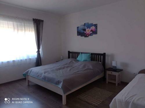 Apartment In Balatonlelle 40765