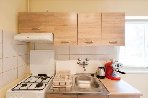 Bier-lak Apartman House 71