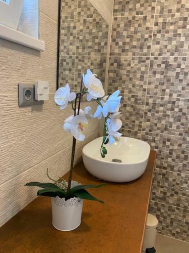 Lelle Sun And Pool Apartments