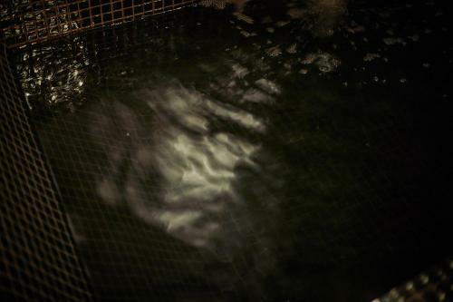 Hotel Palma Riad - Adults Only