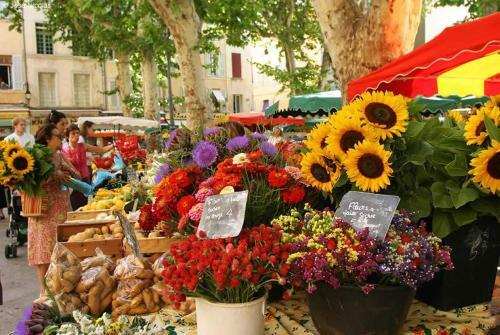 Apartamento Marguerite De Provence
