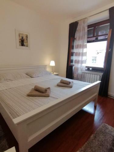 Studio Apartment Zagorka Tkal?i?eva Street