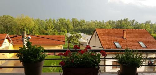 Apartman Arina