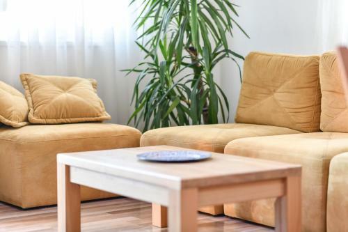 Exclusive 7- New Modern Cozy Apartment