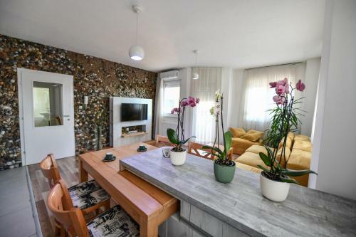 Exclusive 7- New Modern Cozy Apartment