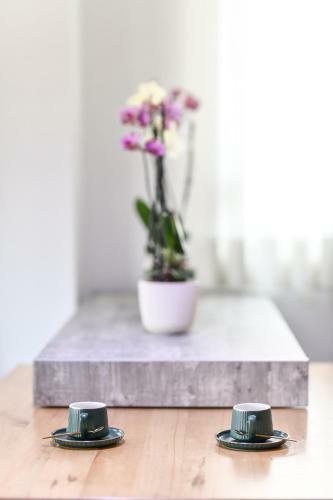 Exclusive 7- New Modern Cozy Apartment