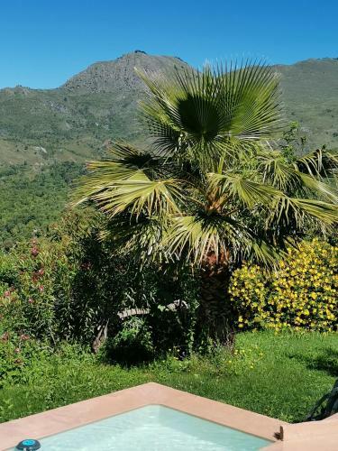 Bed & Breakfast Chambre D'h�tes Couvent D'alando