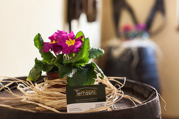 Hotel Terrasini 2000 - Case Vacanze(.)