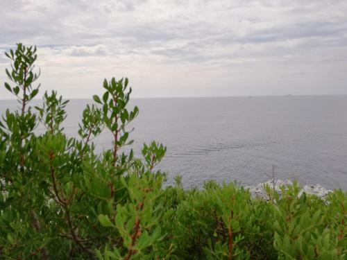 Dimora Ideale Per Coppia Vista Mare Immersa Nel Verde Salento3