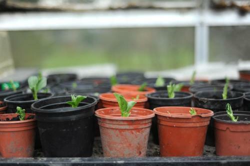 Hotel The Montagu Arms