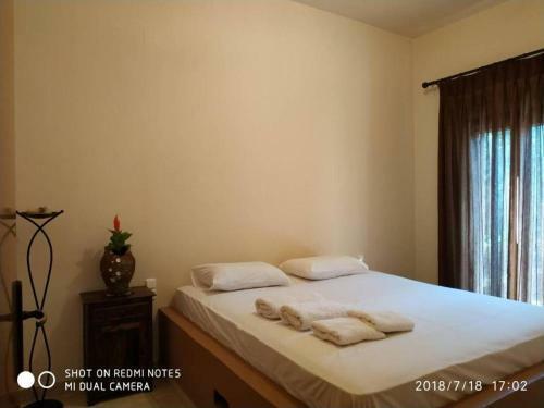 Bed & Breakfast Black Mountain