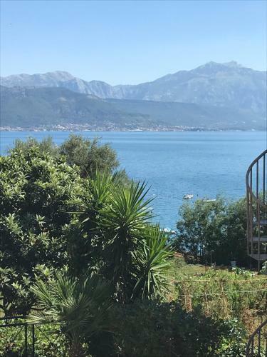 Guesthouse Herceg-novi Residence