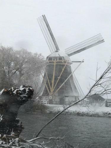 Mondriaanmolen, A Real Windmill Close To Amsterdam