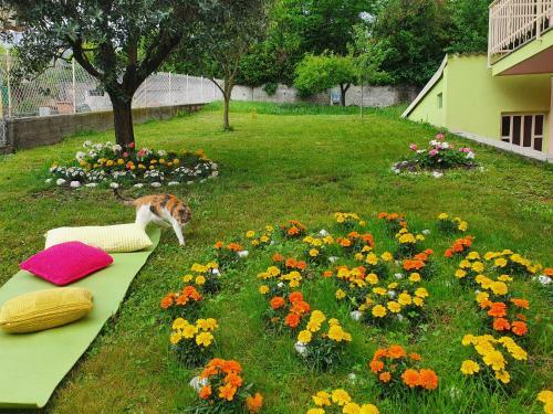 Apartamento Fiori E Frutti - Monolocale Roses