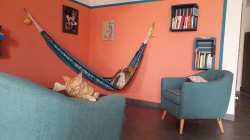 Hostal Furr, Purr & Pool
