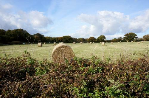 Bed & Breakfast Leyland Suites