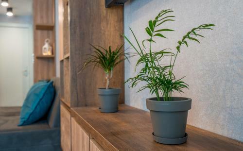 Apartment Alpine By Atrium, New Gudauri