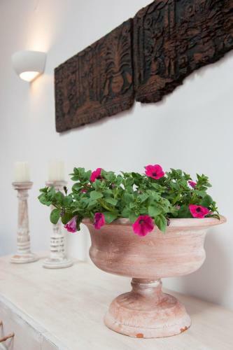 Agroturismo White Jasmine Cottage