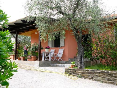 Villa Mimosa Ad Alghero A 2km Dalla Spiaggia Per 6 Persone