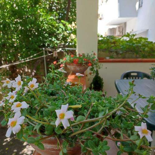 Apartamento Nonna Lia