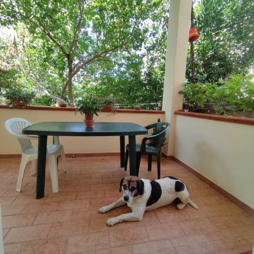 Apartamento Nonna Lia