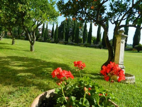 Bed & Breakfast Villa Lucilla