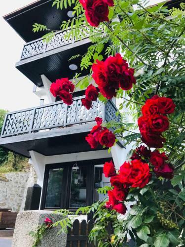 Apartamento Old City House