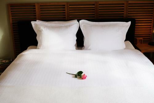 Bed & Breakfast La Vie En Roos Amerongen
