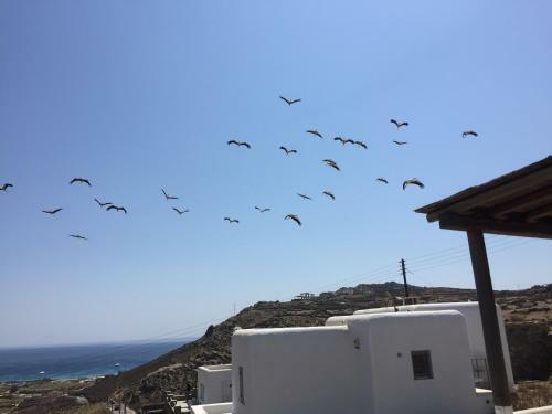 Apartamento A&a House Mykonos A
