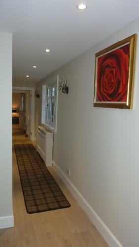 Apartamento Toadhall Rooms