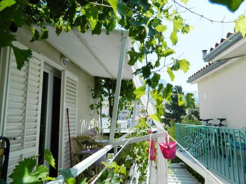 Apartamentos Mare