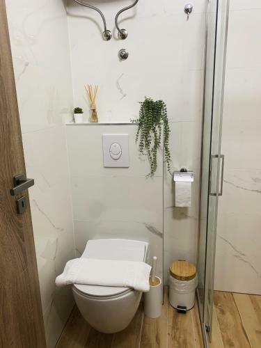 Hostal Villa Franko Ba?ka Voda