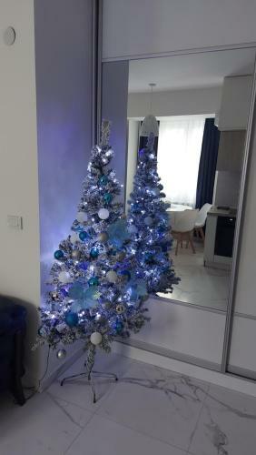 Luxury Apartment Iva