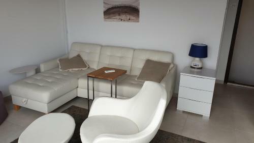 Apartment Artist`s House