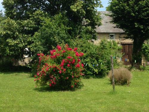 Hostal G�te Le Tilleul de La Fontaine