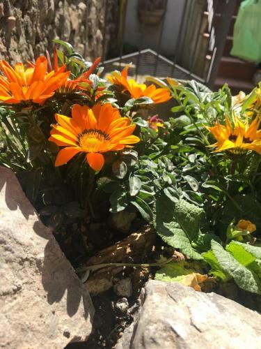 Bed & Breakfast Centro Storico