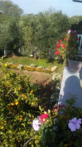 Apartamento Josini Dvori