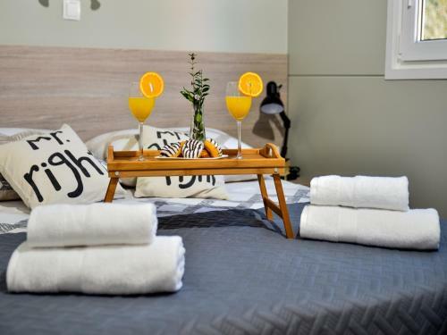 Luxury Mobile Home Biograd
