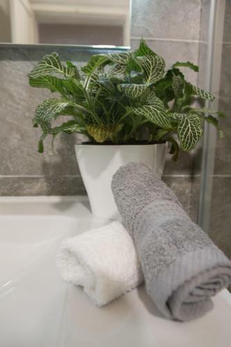 Valletta Luxury Boutique Apartment St Ursula