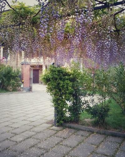 Villa La Casa Di Ester Nel Cilento