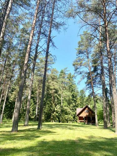 Rojaus Slenis